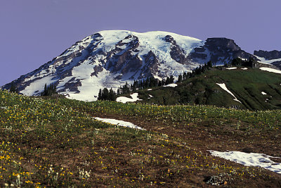 WA Mt Rainier NP 06.jpg