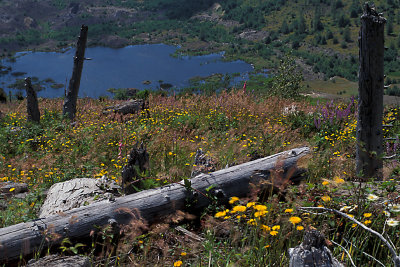 WA Mt St Helens NVM 04 Lake.jpg
