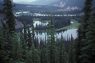 Denali NP