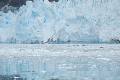 AK Glacier Bay NP 6.jpg
