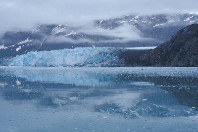AK Glacier Bay NP 7.jpg