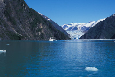 AK Tracy Arm 4 Glacier.jpg
