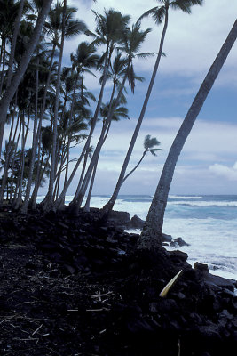 HI Hawaii 02 Volcanoes NP Black Sand Beach.jpg