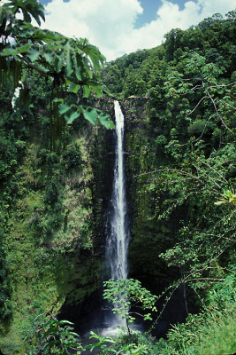 HI Hawaii 10 Akaka Falls SP near Hilo.jpg