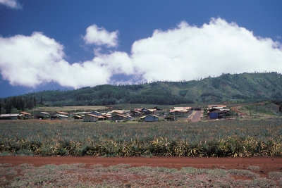 HI Lanai 5 Lania City.jpg