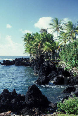 HI Maui 04.jpg