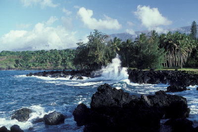 HI Maui 05.jpg