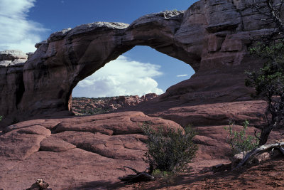 UT Arches NP 16a.jpg