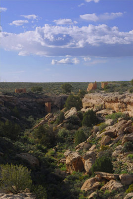 UT Hovenweep NM 01 Little Ruin Canyon.jpg