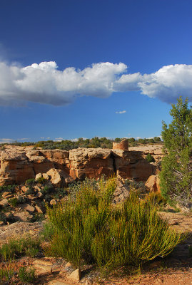 UT Hovenweep NM 08 Tower Point.jpg