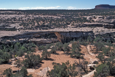 UT Natural Bridges NM 1a Owachomo Bridge.jpg
