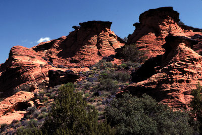 UT Snow Canyon SP 1 Volcanic Rock.jpg