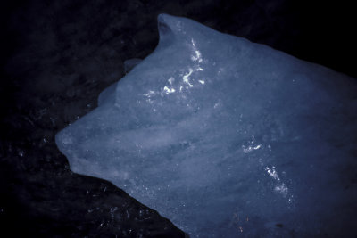 FRA Mt Blanc 07 Ice Sculpture.jpg