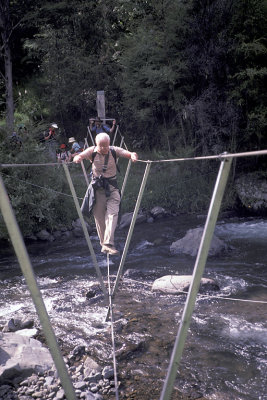 NZL 12 North Is Hike Bridge.jpg