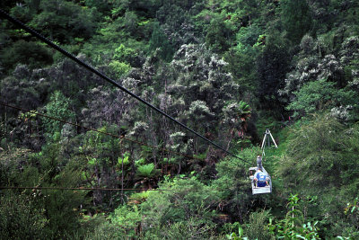 NZL 15 North Is Hike Tram.jpg