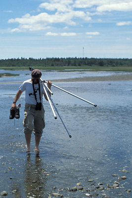 NB Bay Fundy 3.jpg