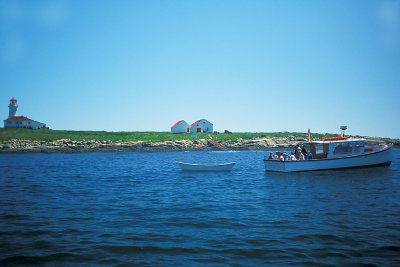 NB Bay Fundy 4 Machias Seal Island 1 LH.jpg