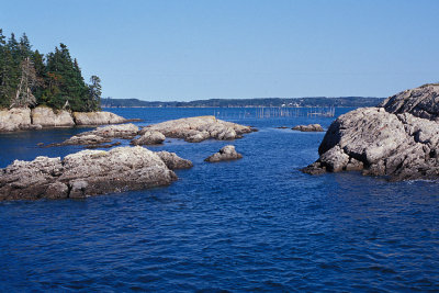 NB Deer Islands Herring and Sardine Trap Weir.jpg