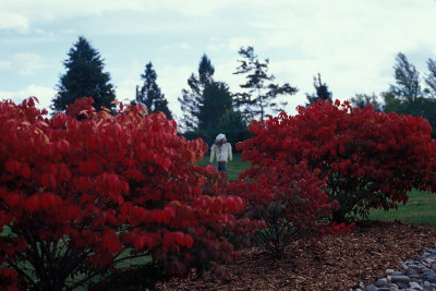 NB St Andrews 2 Kingsbrae Garden.jpg