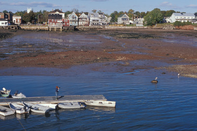 NB St Andrews 6 Low Tidelands.jpg