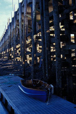 NB St Andrews 7 Low Tide Wharf Pilings.jpg