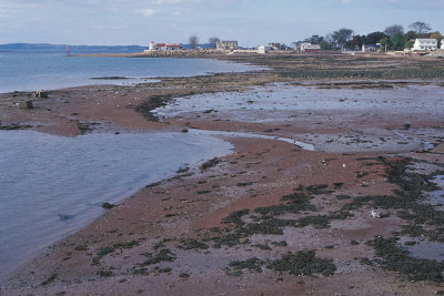 NB St Andrews 8 LH.jpg
