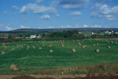 PE Roadside 3 Hay Farm.jpg