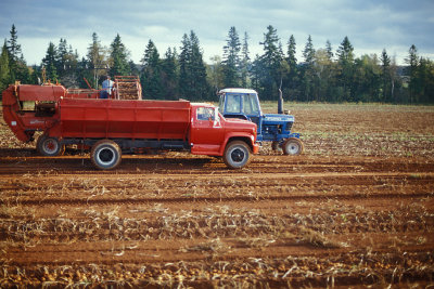PE Roadside 4 Potato Farm.jpg