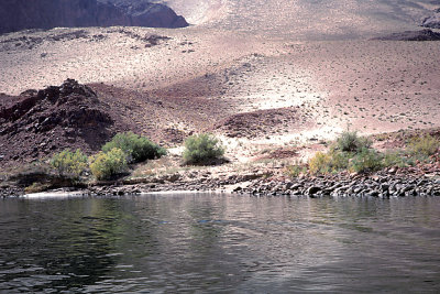 AZ Glen Canyon NRA 06 Colorado River.jpg
