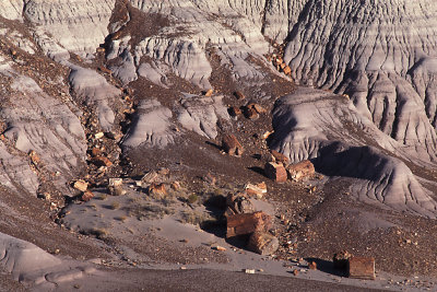 AZ Petrified Forest NP 2.jpg