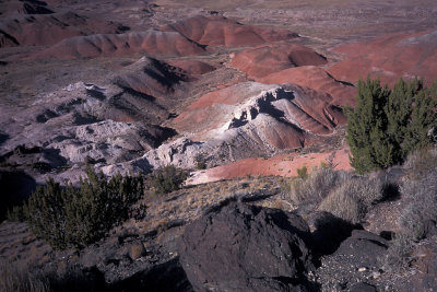 AZ Petrified Forest NP 3.jpg