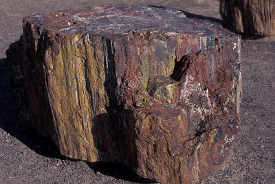 AZ Petrified Forest NP 5.jpg