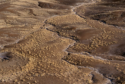 AZ Petrified Forest NP 7.jpg