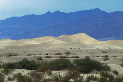 CA Death Valley NP 02 Dunes.jpg