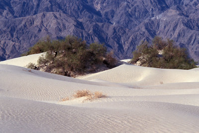 CA Death Valley NP 04 Dunes.jpg