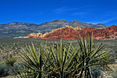 Red Rock Canyon NCA