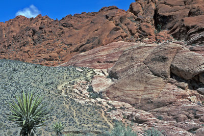 NV Red Rock Canyon NCA 3.jpg