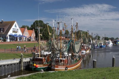 IMG_2396.jpg