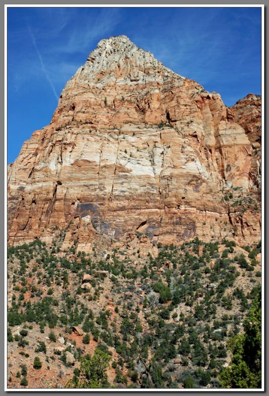 The Watchman