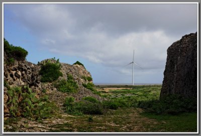 Windmill, Arikok National Park