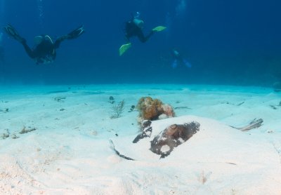 They swam right by 