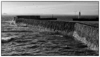 Anstruther Harbour - DSC_4284.jpg