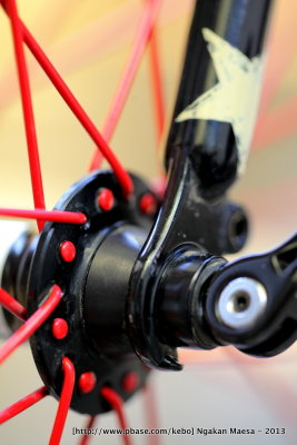 My Red Soma Spokes