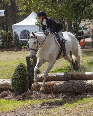 Aiken Horse Show 2013_20130407_0020.jpg