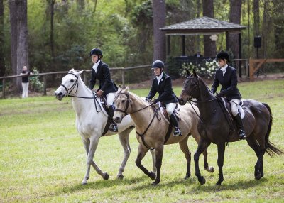 Aiken Horse Show 2013_20130407_0029.jpg