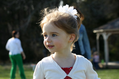 g2/59/637259/3/149693992.zux87Zjw.jpg