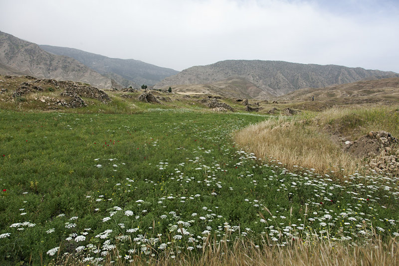 Ancient City of Seymareh (Madakto)