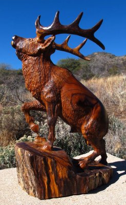 Elk - view 2
