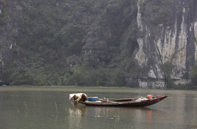 Ninh Binh, Tam Coc