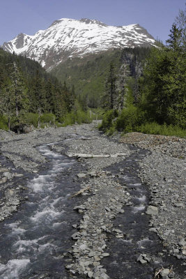 From Exit Glacier to Seward